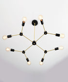 8 Lights Brass Pendant Lamp 33