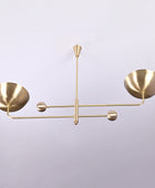 2 Arms Modern Brass Pendant Chandelier 53