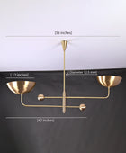 2 Arms Modern Brass Pendant Chandelier 53