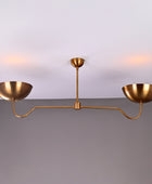 2 Light Brass Pendant Chandelier 51