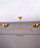 2 Light Brass Pendant Chandelier 51