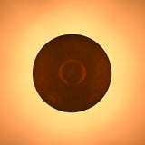 Elegant Custom Brass & Glass Chandelier | Mid Century Modern Pendant Light | Uplifting Ceiling Light Fixture | Handmade Lighting |  - 32373