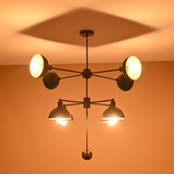 8-Light Black and Gold Modern Chandelier – Brass Pendant Illuminated in Warm Ambient Tone