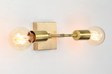 Modern Minimalist Customizable Wall Sconce | Dual Brass Light Fixture with Rectangular Backplate - 32548