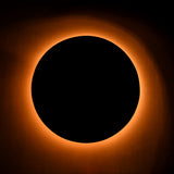 Minimalist Oversized Dome Wall Sconce with Uplifting Light | Customizable Modern Decorative Fixture - 32595