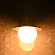 Modern Globe Wall Sconce with Curved Arm and Dome Shade | Customizable Decorative Ambient Fixture - 32607