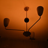 Rome Apex  -  Uplifting Chandelier - 3 Lights - 32215