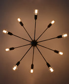 10 Arms Brass Sputnik Chandelier 33