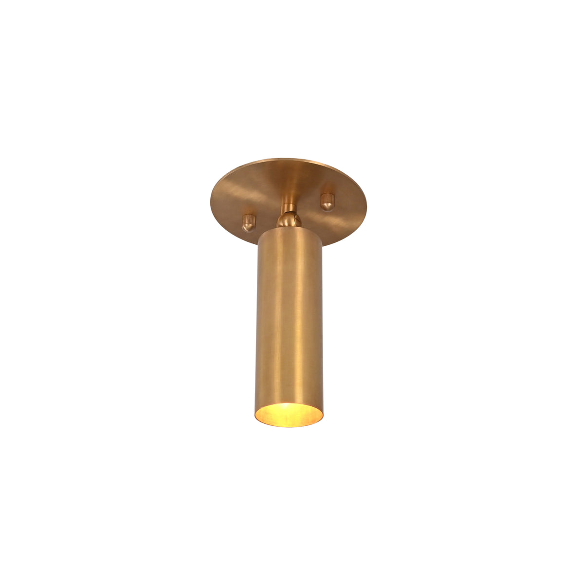 Front view of Alden adjustable brass ceiling spotlight with cylindrical metal shade and round ceiling canopy.