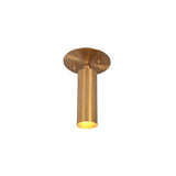 Front view of Alden adjustable brass ceiling spotlight with cylindrical metal shade and round ceiling canopy.