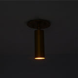 Lit view of Alden adjustable brass ceiling spotlight casting a warm focused downward beam