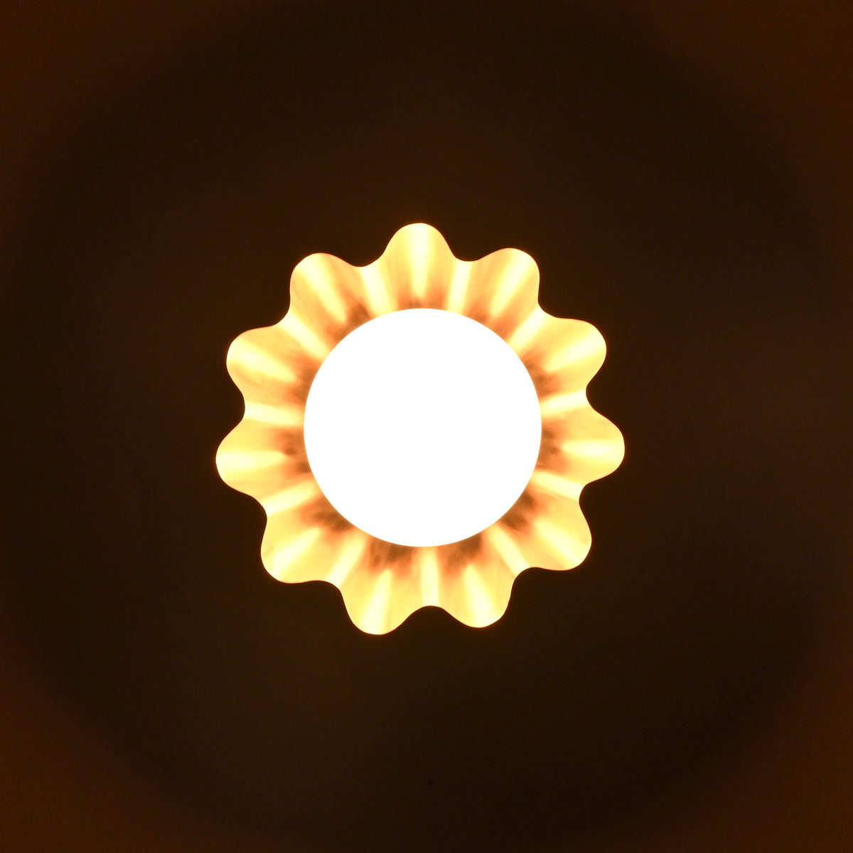 Brass flower-shaped wall light glowing in the dark, casting soft ambient illumination with petal shadow effect.