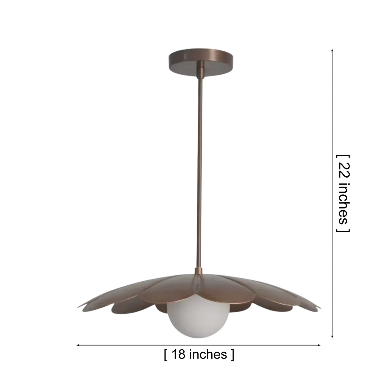 Size guide for Cambria Modern Petal Disc Pendant Light – 1 Light – 18 Inch – Model 33204