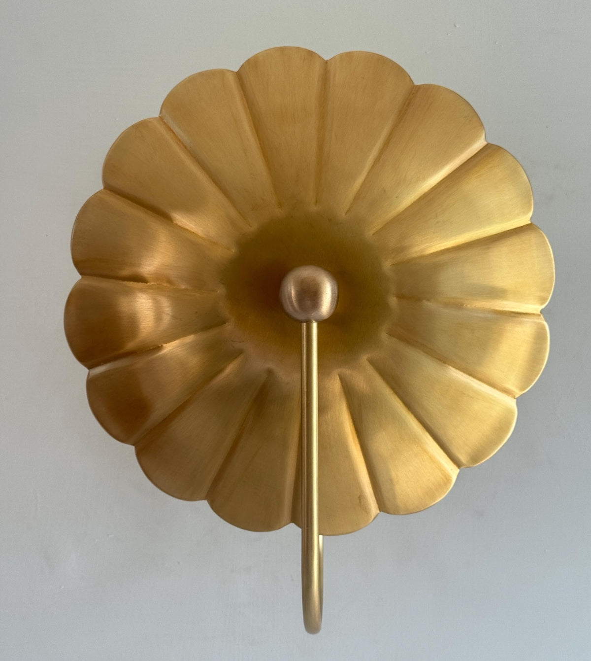 Close-up of brass flower backplate with scalloped petals and central round knob in satin brushed brass.