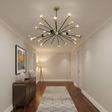Cologne 24 light brass and black Sputnik chandelier shown in a full angled view with multi-arm starburst design.