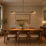 Hamburg 2 light linear chandelier shown from the front with symmetrical brass cone shades and long central downrod.