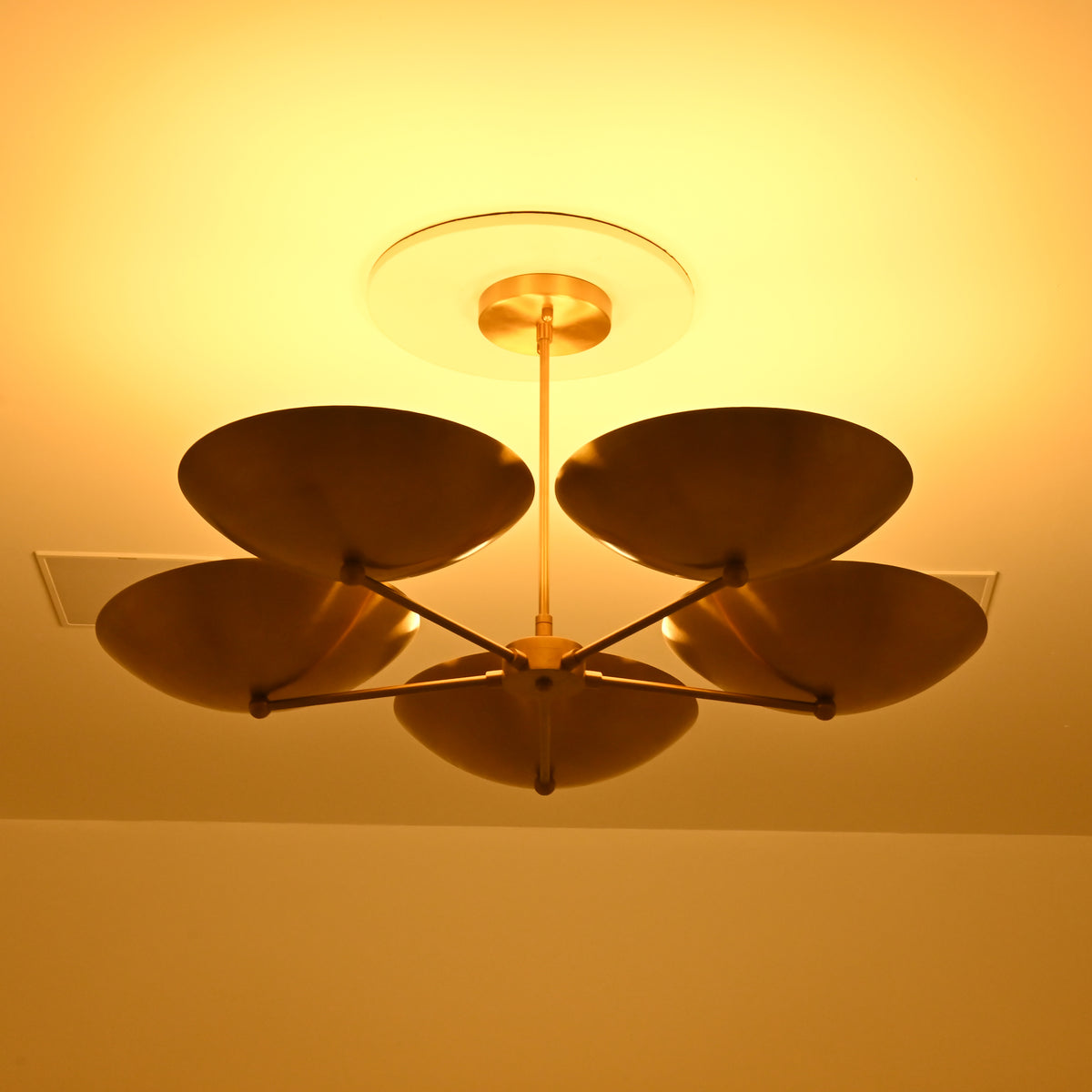 Low-angle view of Savannah 5-light sculptural brass chandelier showcasing curved gold saucer shades, radial metal arms, and warm golden ceiling illumination.
