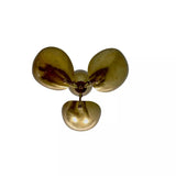 Sloane 3 light brass petal flush mount ceiling light showing curved shades from bottom view