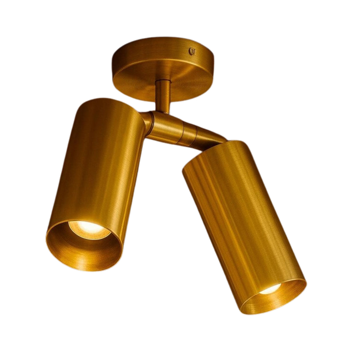 Front perspective of the Aurora Dual Cylinder Ceiling Spotlight with adjustable brass cylindrical shades designed for directional ceiling lighting.