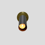 Modern black and brass spotlight with warm bulb glow, mounted on round brass base