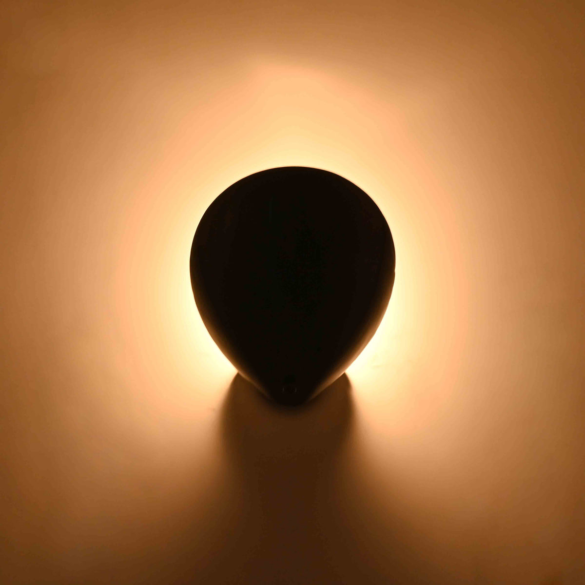 Black solid brass ambient wall light with rounded petal form and warm decorative halo effect