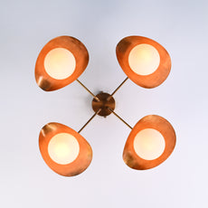 Overhead view of four-light brass ceiling fixture with sculpted dome shades and frosted globes.