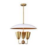 Finish options for brass lighting including raw, brushed, blackened, copper, and painted colors