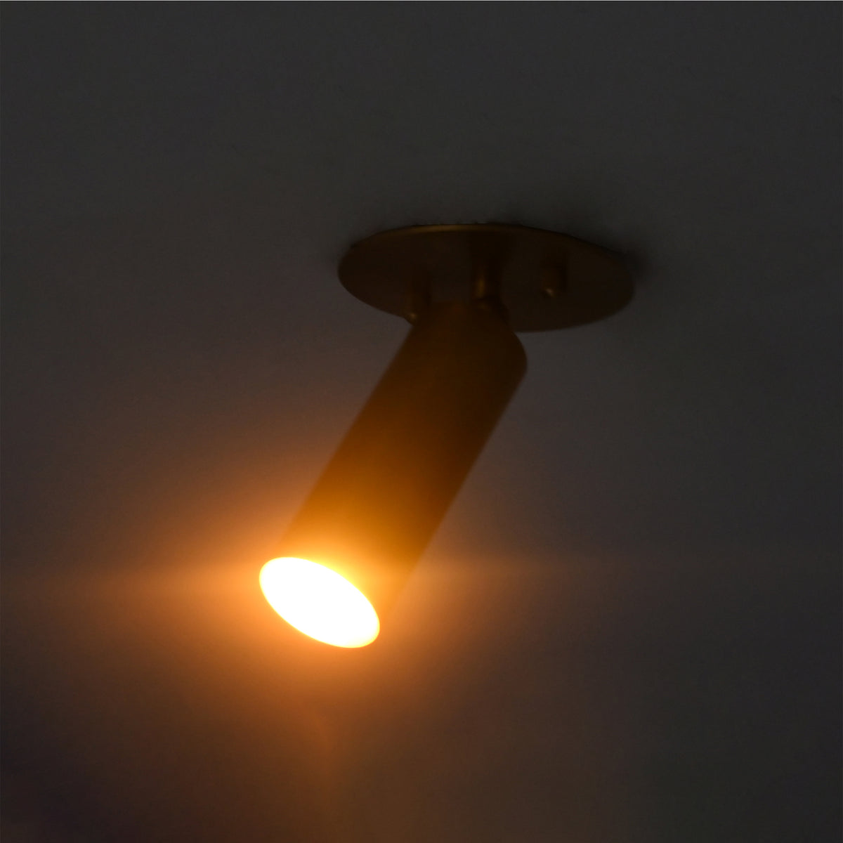 Alden adjustable brass ceiling spotlight tilted to direct a warm focused beam for accent and task lighting.