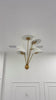Santorini 5 light raw brass chandelier video showing the sculptural multi-arm design, five fabric shades and warm diffused illumination
