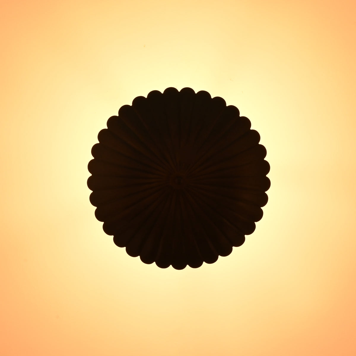 Warm glowing scalloped disc pendant light creating soft ambient ceiling illumination