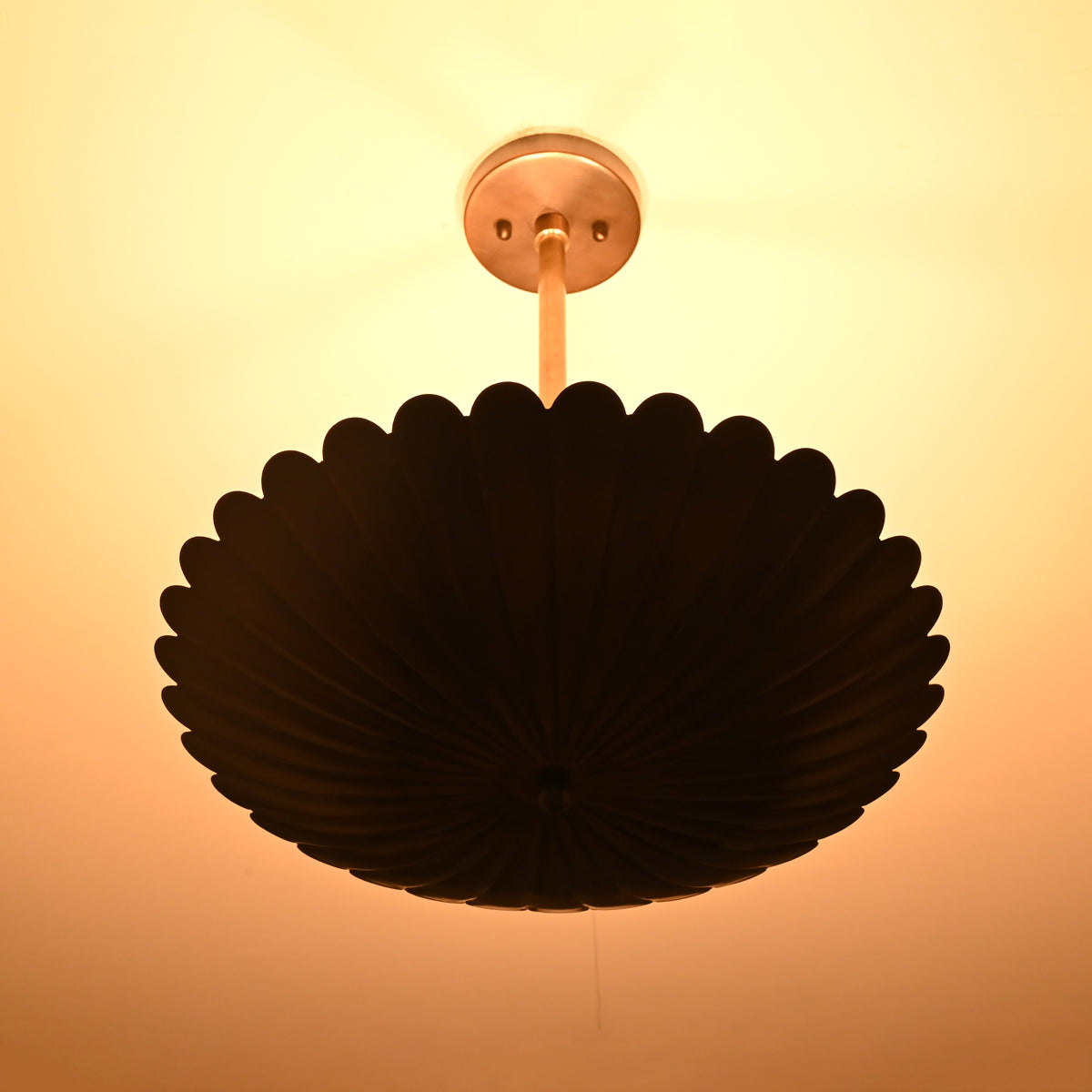 Scalloped brass pendant light illuminated with warm ambient indirect lighting